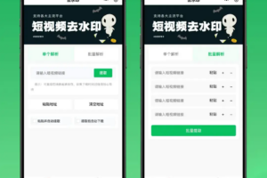 2026最新去水印小程序源码 v1.6.5 带流量主