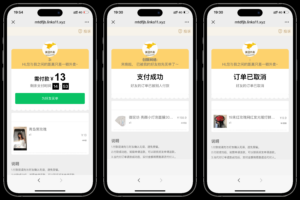 美团代付可对接易支付版源码
