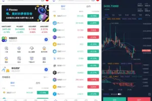 Phemex多语言交易所源码/期权交易+合约交易+新币申购+锁仓挖矿+平台币发行+K线行情控制/前端uniapp编译后+后端PHP