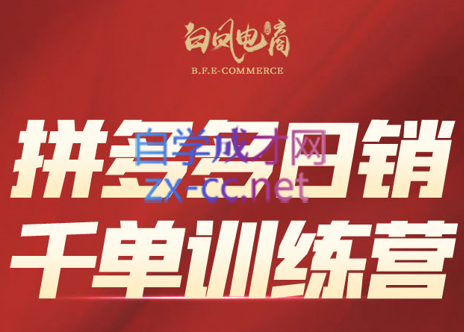白凤电商·拼多多日销千单训练营(更新3月)